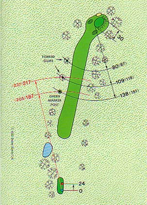 The 16th Hole schematic at Victor Harbor Golf Club
