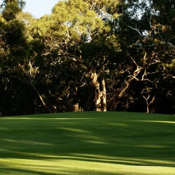 golf course hole sunset